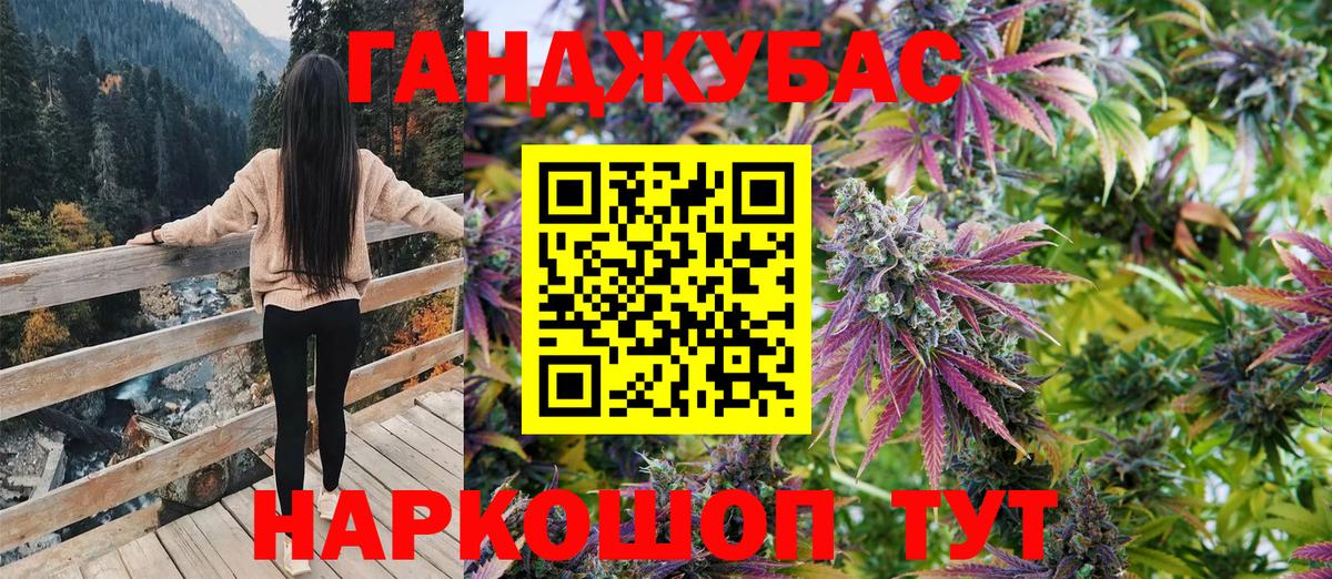 Каннабис сатива Буйнакск