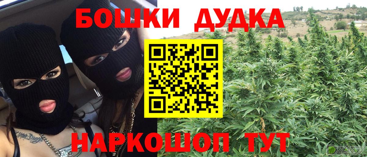 Бошки марихуана семена  Вход с VPN  Марихуана индика  Марихуана план  Буйнакск 